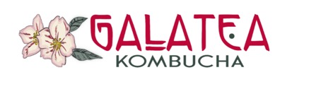 Galatea Kompucha