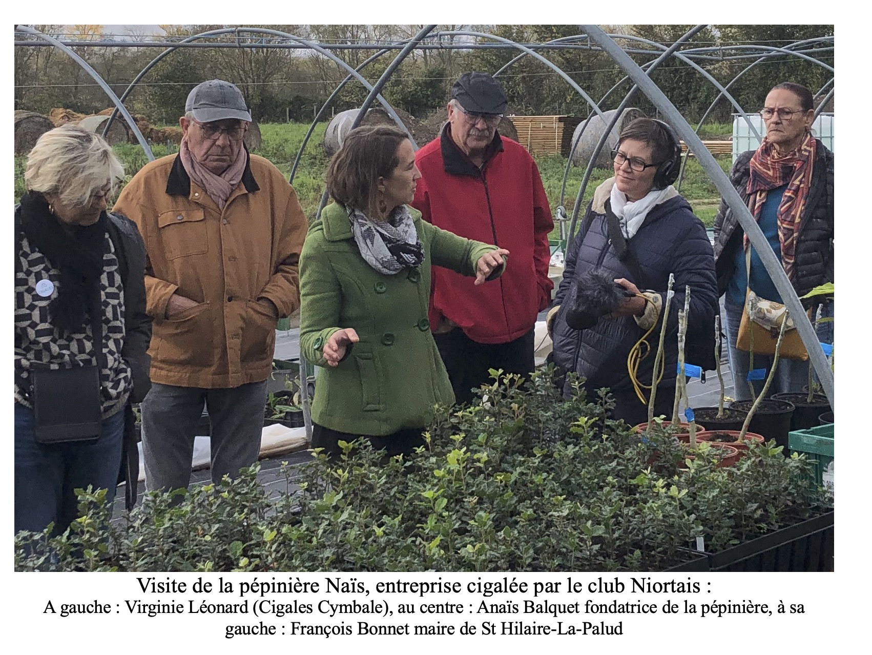 Pépinière Naïs