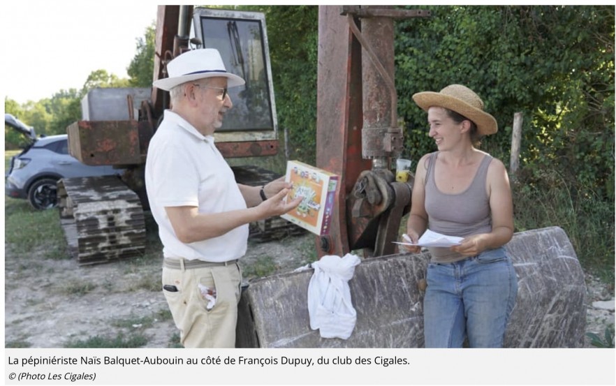 La pépinière de Naïs