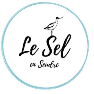 17 - Le Sel En Seudre - SAUNIER