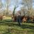 79 - Ferme de la Solive