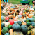 16 - Le Potager d'à Coté
